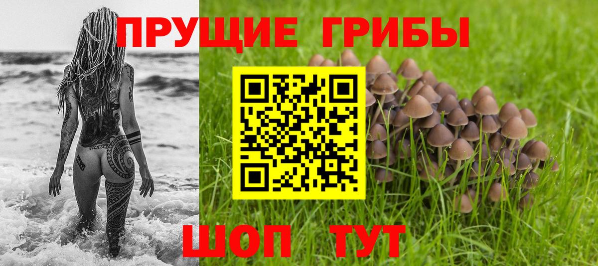 Псилоцибиновые грибы прущие грибы  купить наркотик  Галлюциногенные грибы прущие грибы  Лесозаводск  Вход с VPN 