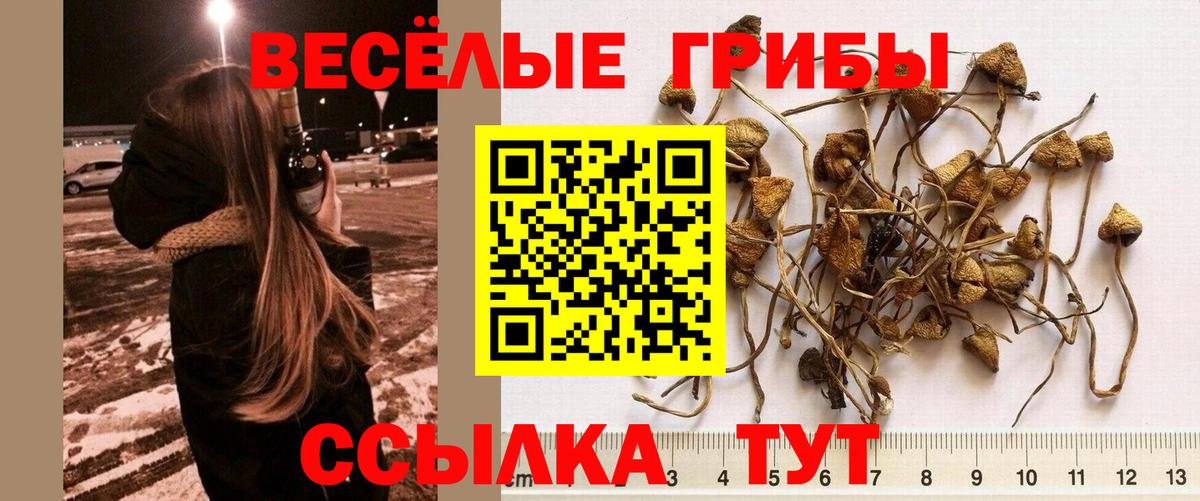 Галлюциногенные грибы прущие грибы Лесозаводск